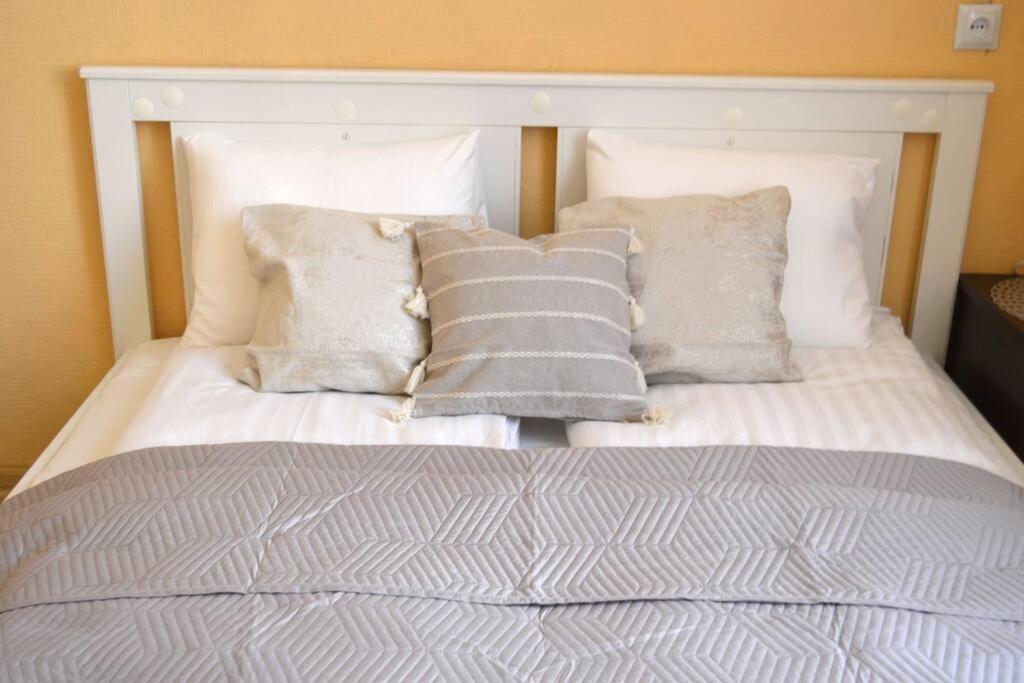 Spacious Old Town Family Peachy 2 Bedrooms Apartment, Nearby The Riga Presidential Castle Luaran gambar