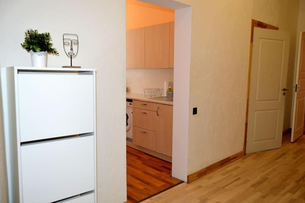 Spacious Old Town Family Peachy 2 Bedrooms Apartment, Nearby The Riga Presidential Castle Luaran gambar